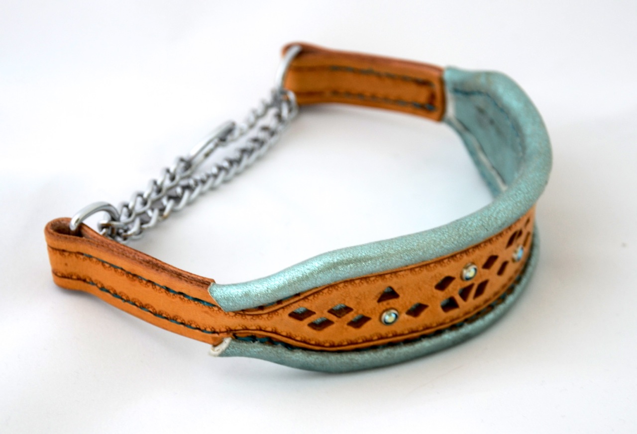 rolled edge dog collar